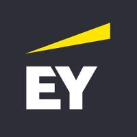 EY (Ernst & Young) logo